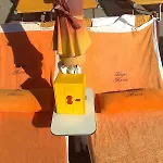 Gabbiano Αλάσιο
