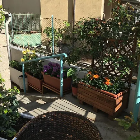 Gabbiano فندق ألاسيو