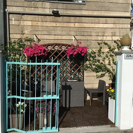 Gabbiano ألاسيو