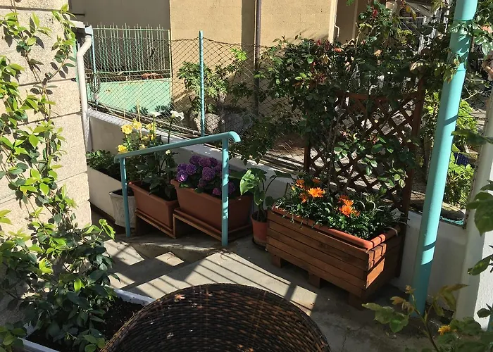 Gabbiano فندق ألاسيو