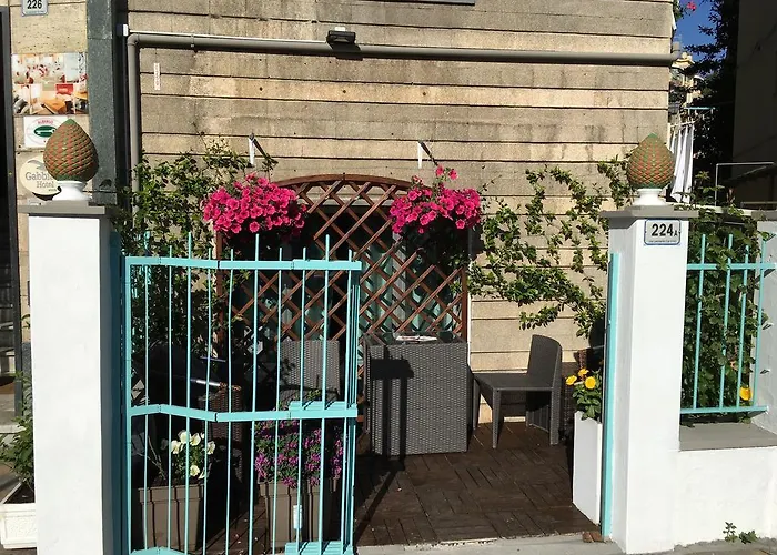 Gabbiano ألاسيو