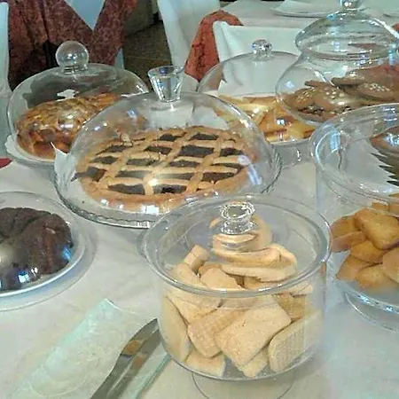Gabbiano אלסיו